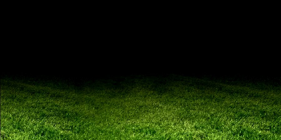 Herbe