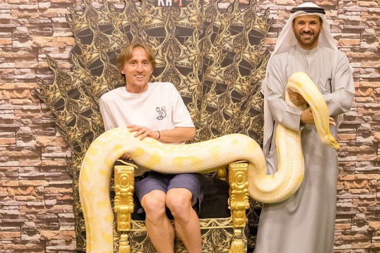 Luka Modric Luka Modric